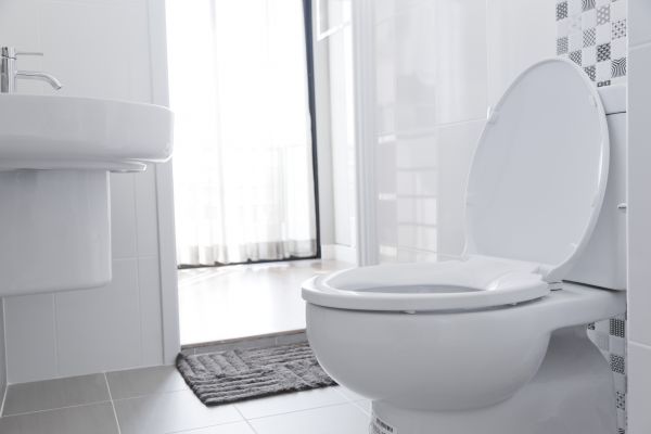 Cost of Toilet Relocation in Gilroy